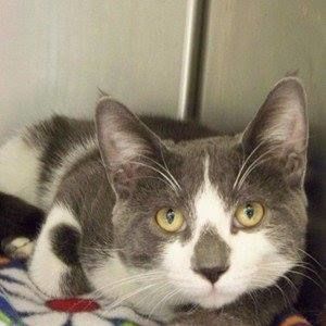 Meet your Posher, Leila